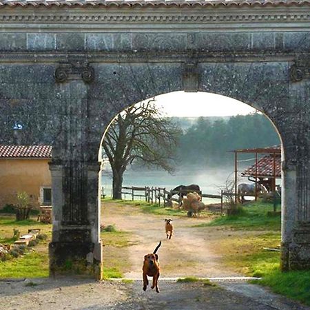 Domaine De Chantemerle B'Nb Marsac  Екстериор снимка