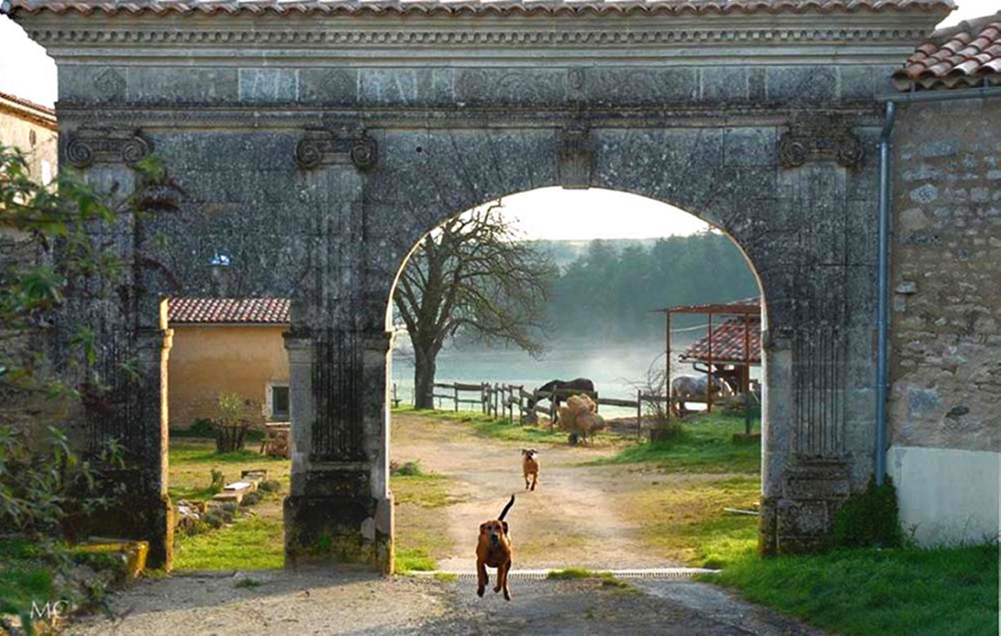 Domaine De Chantemerle B'Nb Marsac  Екстериор снимка